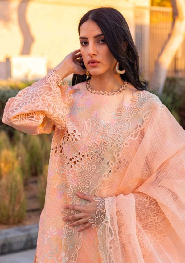 Rang Rasiya Summer Edition - Image 3